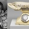 A grayscale image of Salvador Dali with a small wild cat and an image of his white Lobster Telephone