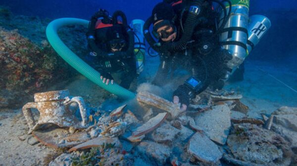Divers pictured searching under the water for archaeological artifacts