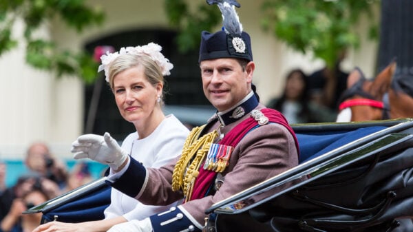 These Two Royals Will Take King Charles and Queen Camilla's Place As He Undergoes Cancer Treatment